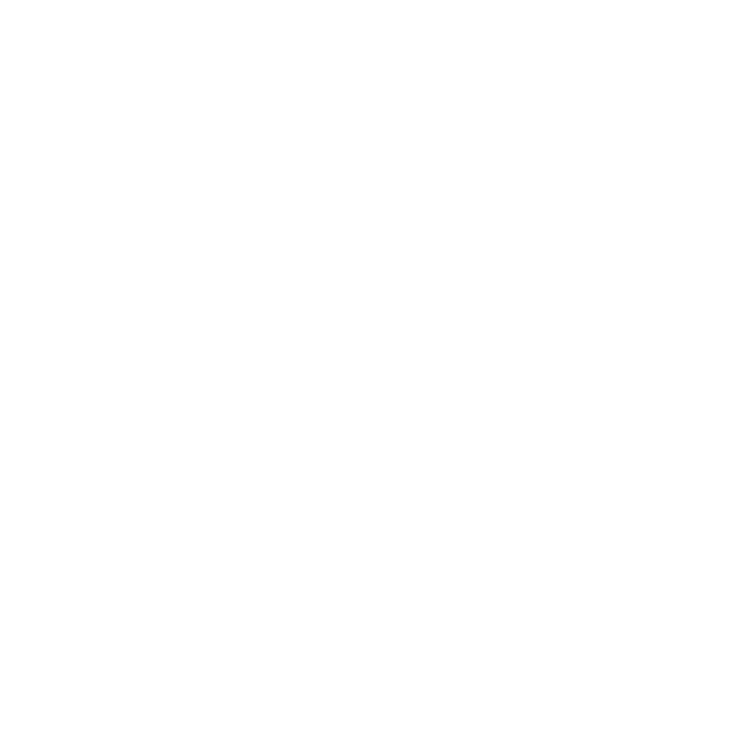 GUNS BANNER