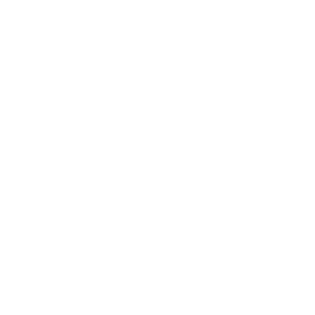 BLACK WIDOW CORNER SPIDERWEB