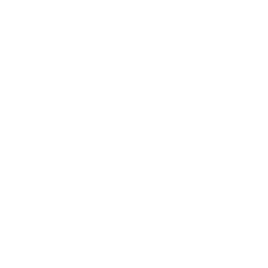 BLACK WIDOW SPIDER WEB