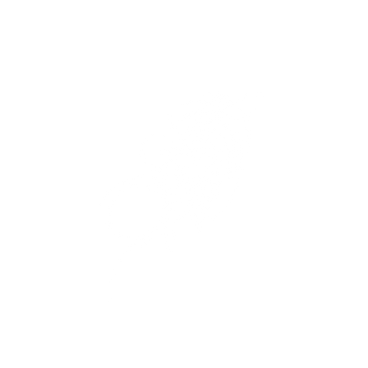 HELMET CROSS TRIBAL