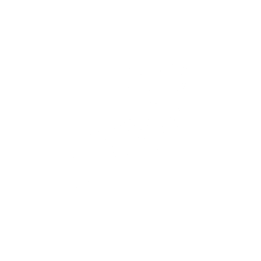 HELMET TRIBAL V2