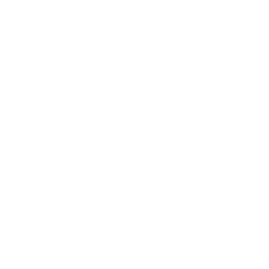 HELMET TRIBAL V1